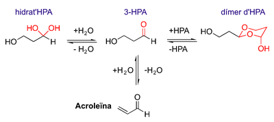 Equilibri de la reuterina amb el seu hidrat, el dímer i l'acroleïna
