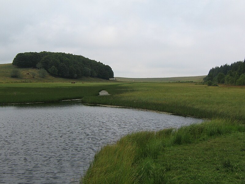 File:Etang de Bonnecombe.JPG