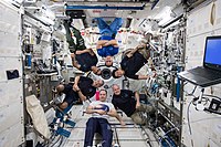 Expedition 54 inflight crew portrait in the Kibo lab.jpg