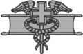 專業野戰軍醫徽章（英语：Expert Field Medical Badge）