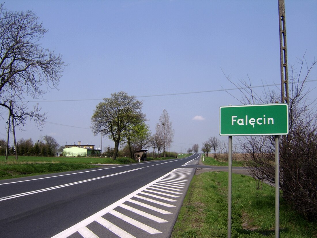 Falęcin (Papowo Biskupie)