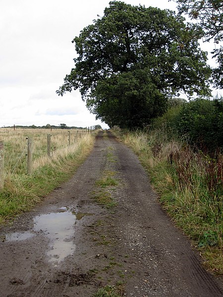 File:Farm track to Cowpen Wood - geograph.org.uk - 3152621.jpg