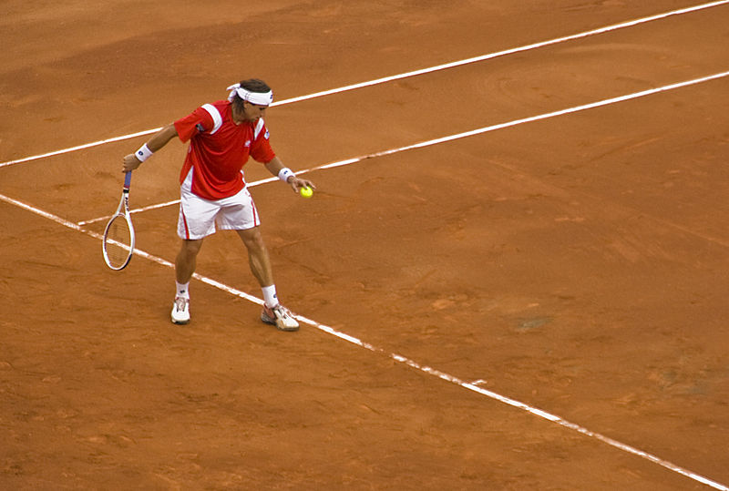 File:Ferrer, 2008 Davis Cup semis.jpg