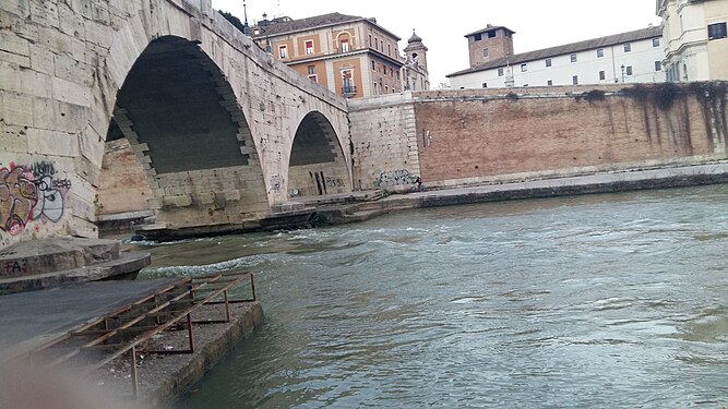 Fiume Tevere river in 2016