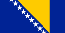 The Bosnian national flag