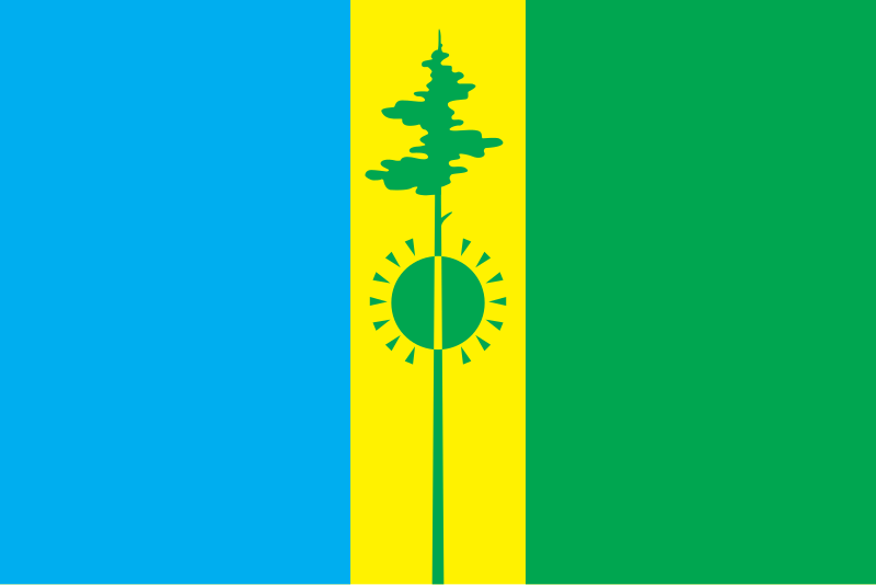 File:Flag of Nizhnekamsk rayon (Tatarstan).svg