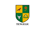 Tengelic