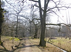 Flatens naturreservat 2007.JPG