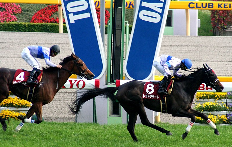 File:Flora Stakes 20080427R1.jpg