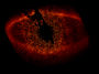 Fomalhaut B.jpg