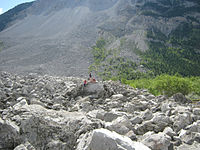 Frank Slide Lower Reaches.jpg