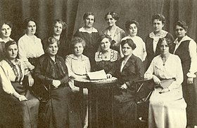 Тереза Шлезингер сол жақта үшінші орында. Frauenreichskomitee комитеті, 1917 ж.
