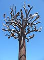 Freedom Tree sculpture St Helier Jersey.jpg