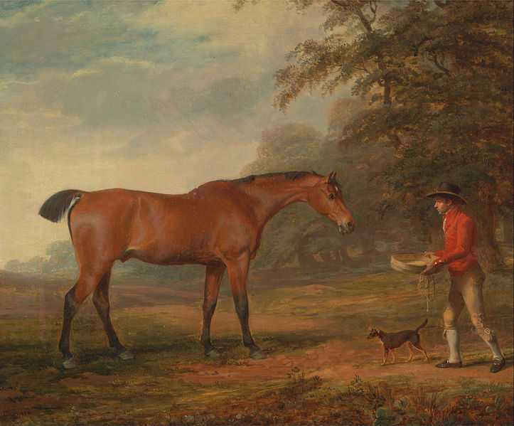 File:George Garrard - A Bay Horse Approached by a Stable-Lad with Food and a Halter - Google Art Project.jpg