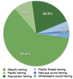 Herring