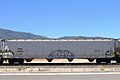 Graffiti Freight Train Benching 7-3-2020 (50072876623).jpg