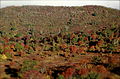 Graveyard Fields 1.jpg