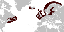 Grey Seal Halichoerus grypus distribution map.png