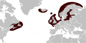 Grey Seal Halichoerus grypus distribution map.png