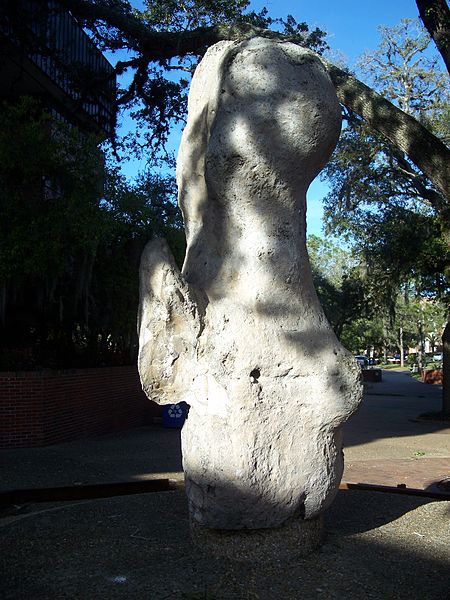 File:Gville UF GPA rock01.jpg