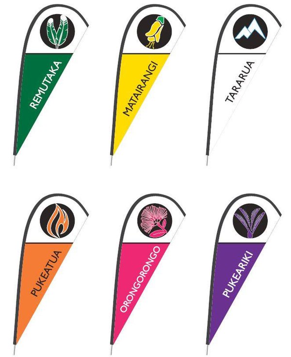 The new flags for the houses (August 2017)