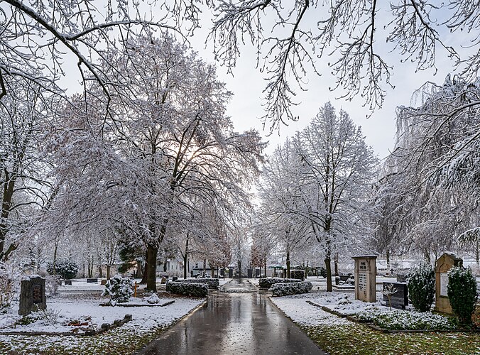 Кладбище Бёкинген в Хайльбронне, Баден-Вюртемберг зимой