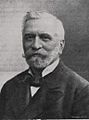 Heinrich Gusztáv (1845–1922) irodalomtörténész