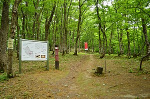 Hida Site, Yashiroyama-B, gaikan.jpg