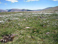 Blick auf die High Uintas Wilderness