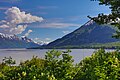 La baia di Turnagain vista dalla strada