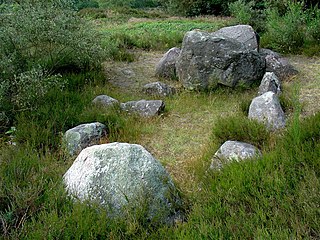 Hunebed D38 in het Valtherbos bij Emmen