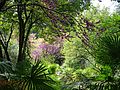 Le Jardin de la Vallée - Cernobbio - 03.jpg