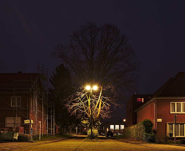 File:Intersection of Rue Franciscus Vandevelde and Rue Jean Ekelmans, looking towards Rue Jean Ekelmans, December evening (civil twilight) in Auderghem, Belgium.jpg