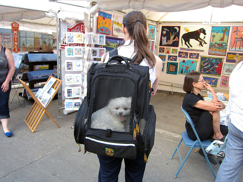 File:Iowa City Arts Fest 2014 (14364790942).jpg