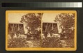 Isaac A. Pool's greenhouse, Escanaba, Mich., Aug. ... 1888, Mr. Pool & his daughters Dot and Madge (NYPL b12535906-G90F412 012ZF).tiff