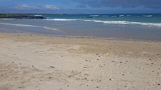 Santa Fe Island Island of the Galápagos archipelago