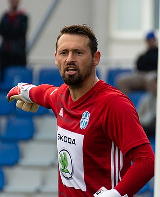 <span class="mw-page-title-main">Jan Šeda</span> Czech footballer