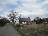 Čeština: Památný strom javor klen (Acer pseudoplatanus) v Bohdalovicích. Okres Jablonec nad Nisou, Česká republika.