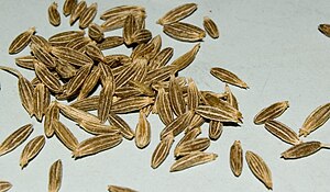 Jeera Seeds Closeup.JPG