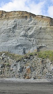 Vignette pour Bassin de Wanganui