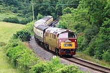 D1010 on the West Somerset Railway Kentsford - D1010 climbing towards Washford.JPG