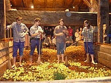 La Kirikoketa de Arizkun: Fiesta de la Sidra en Navarra