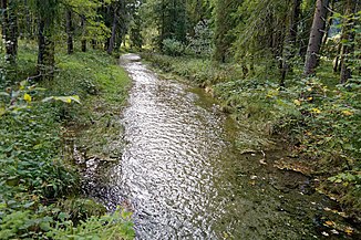 Der Kohlbach in der Nähe von Rahm