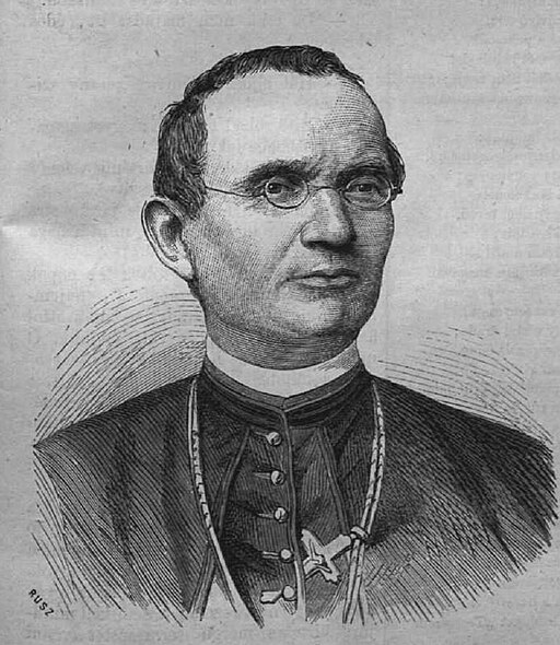 Kovács Zsigmond 1877-29