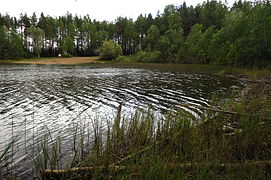 Kurtna Liivjärv Kurtna järvestikus Kurtna maastikukaitsealal