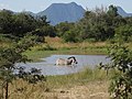 Kyle Recreational Park, province de Masvingo