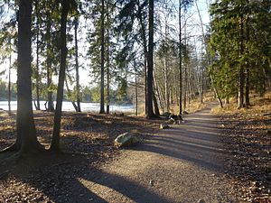 Långsjöns naturreservat 2013 04.jpg