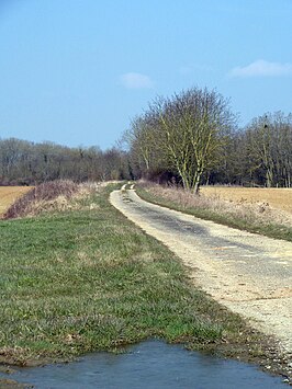 De Romeinse weg van Reims naar Tours tussen Laimont en Villers-aux-Vents.