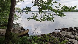 Vinen sett från södra stranden