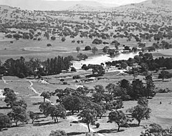 Aerial view of Lanyon station in 1950 LanyonStationAerialView1950.jpg